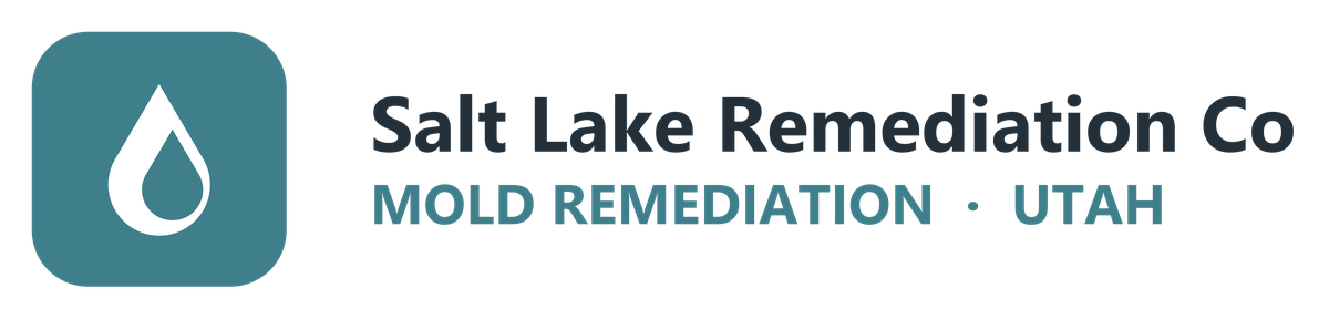 Salt Lake Remediation Co logo